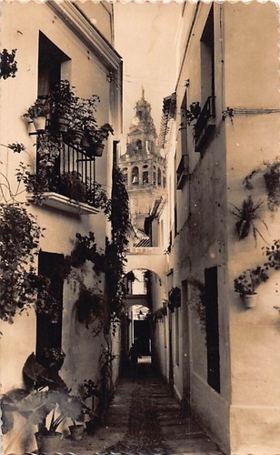 Family history postcard - history,