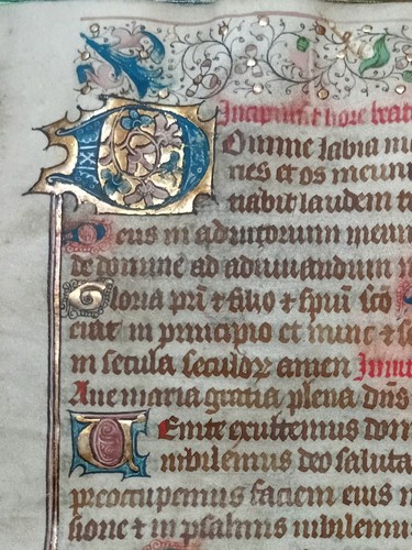 Book hours vellum - hours,
