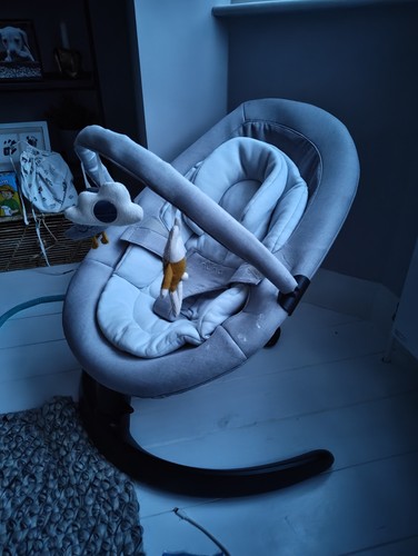 Nuna leaf grow baby - nuna,