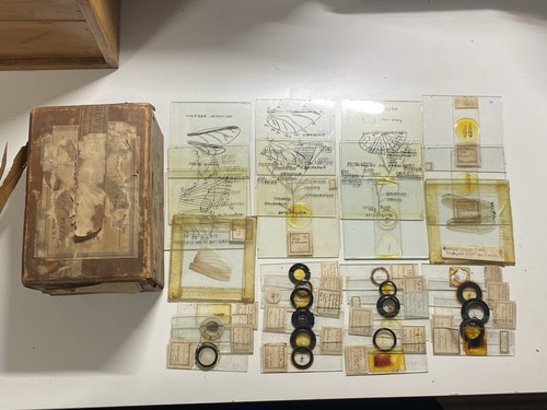 Collection antique - 34,