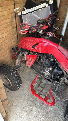 Quadzilla dinli 450 front - quadzilla,