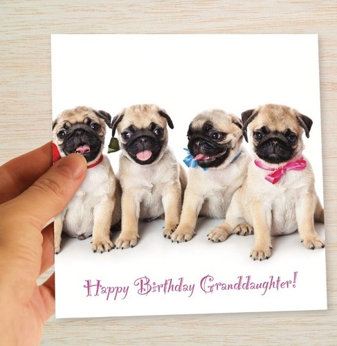 Granddaughter birthday card - birthday,