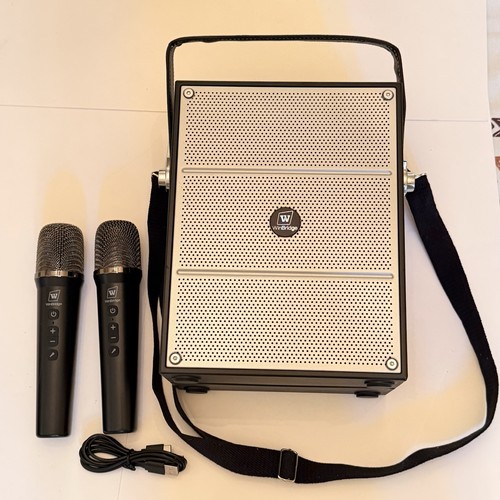 100w powerful voice amplifier - 100w,