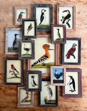 Bird Reverse Glass Paintings