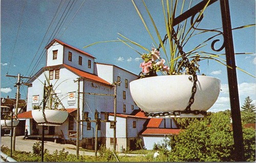 Feed mill giant teacup - feed,