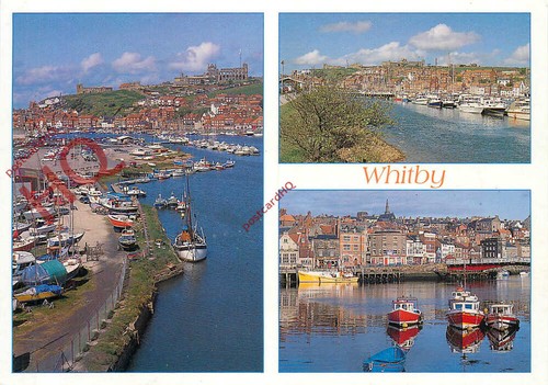 Picture postcard whitby - postcard:,