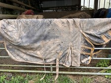 Turnout Rug