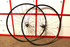 American Classic, Sun Mistral