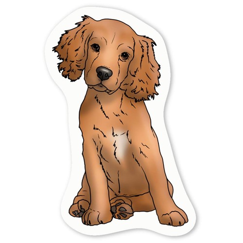 Cocker spaniel puppy white - 'cocker,
