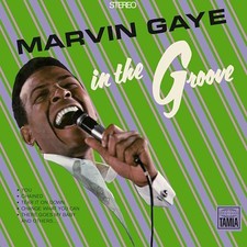 GAYE - IN THE GROOVE - Vinyl