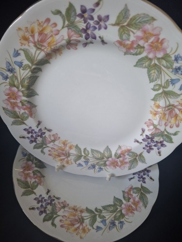 Vintage paragon bone china - bone,