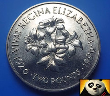 1996 Jersey £2 Two Pound Lily