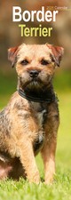 Border Terrier Slim 2026 Calendar | Slimline Dog Breed Gift 15% OFF MULTI ORDERS