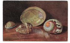 Tuck's Artist Drawn Oil