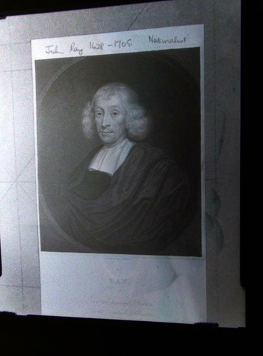 Negative john ray - b&w,
