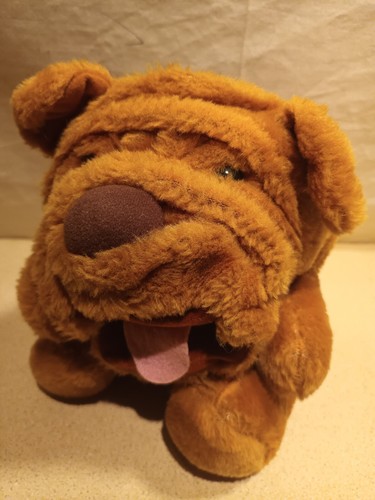Beverly hills teddy - hills, bear