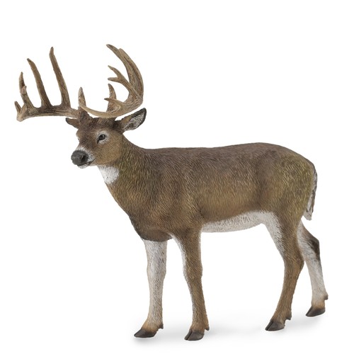 Collecta white tailed deer - collecta, white-tailed