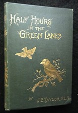 Half hours green - green, j
