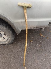 Hazel Walking Stick.