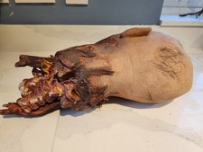 Realistic Decapitated Head – Horror Halloween Prop with Gory Detail