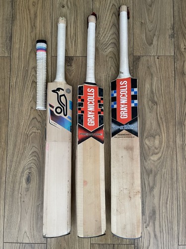 Junior cricket bats - bats, gray