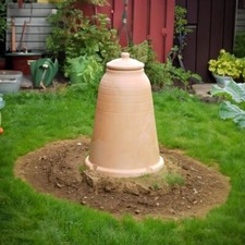 Terracotta rhubarb forcer - terracotta,