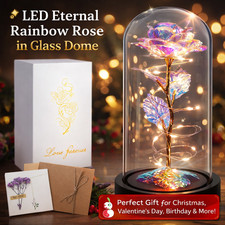 LED Eternal Rainbow Rose in