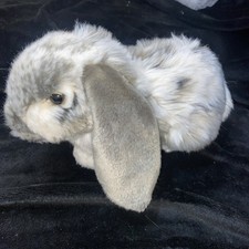 Living Nature Lop Eared Cute
