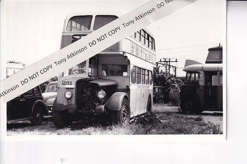 Southend corpn daimler - corpn., /