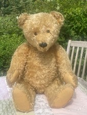 LARGE RARE OLD, ANTIQUE STEIFF BEAR, 25" (65 cm) BUTTON IN EAR, 1950'S VINTAGE