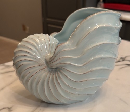 Ceramic nautilus shell vase - shell,