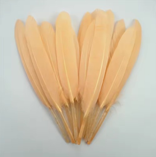 15cm goose feathers arts - goose,
