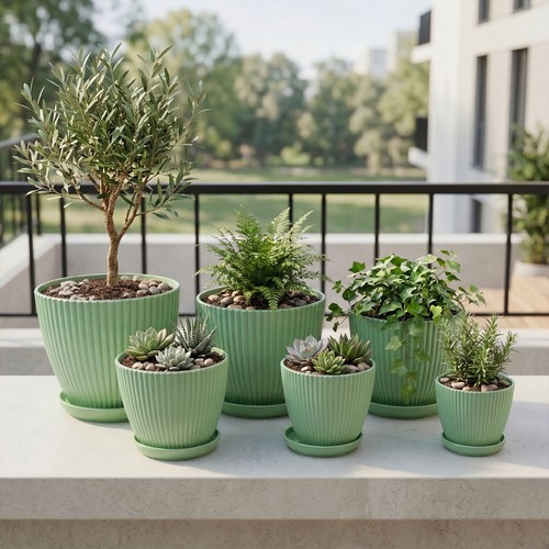 Indoor plant pots with - plant,