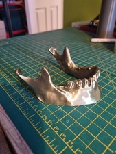 Lifesize Jawbone  Phone