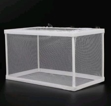 Aquarium tank fish breeder - fish,