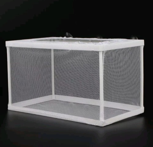 Aquarium tank fish breeder - aquarium,