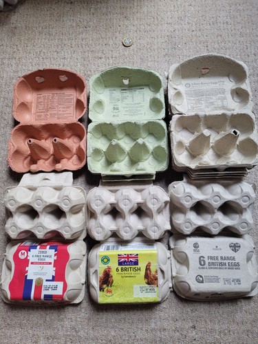 10x reclaimed egg - 10x,