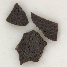 Hadrosaur Egg Shell Fossils