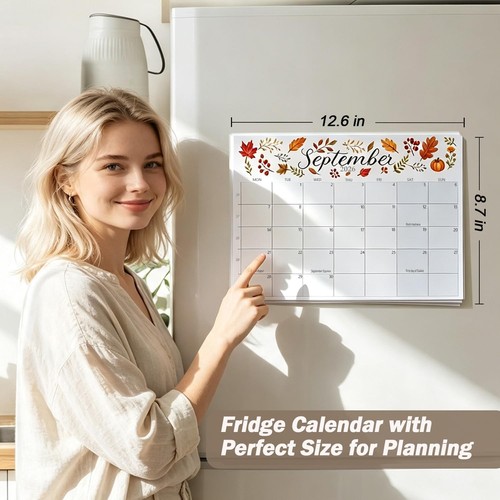 Magnetic fridge calendar - fridge,