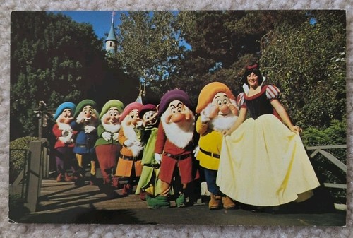Disneyland amusement park snow - park,