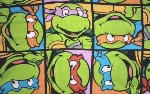 Teenage mutant ninja turtles - ninja,