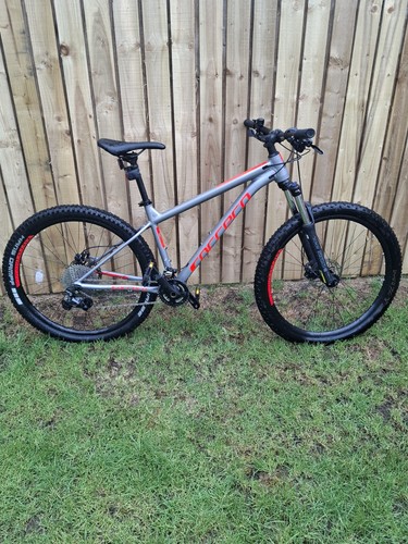 Carrara sulcata bike