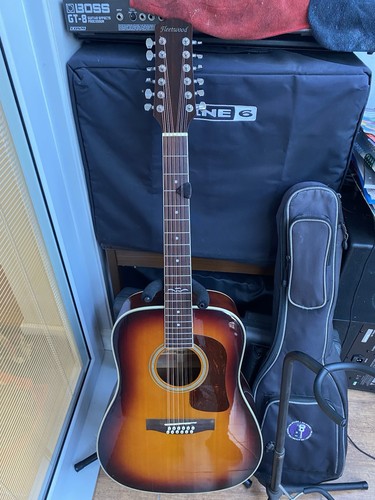 Fleetwood string acoustic - 12,