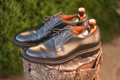 Barely worn alden 9901 5e - worn,