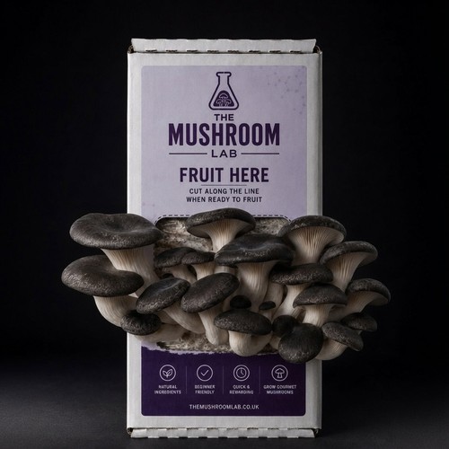Mushroom grow kit mix - grow, &