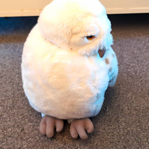 Harry potter hedwig - white, owl