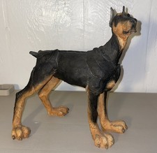 A Breed Apart Doberman