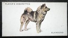 ELKHOUND   Vintage 1931 Illustrated Card   EE05M