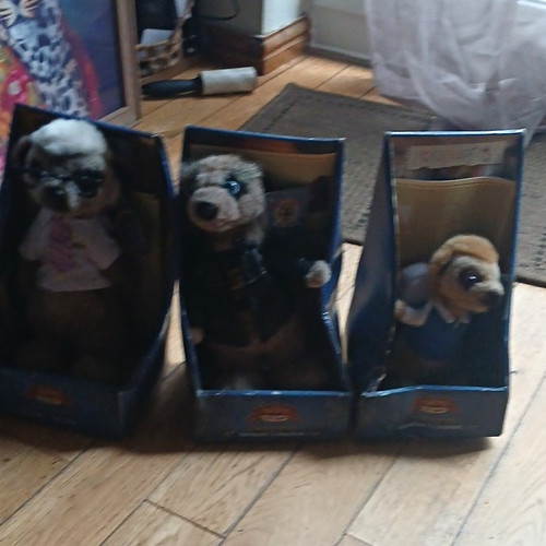 Yakov toy shop boxed - yakov's,