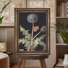 OKA, Anthropologie LARGE